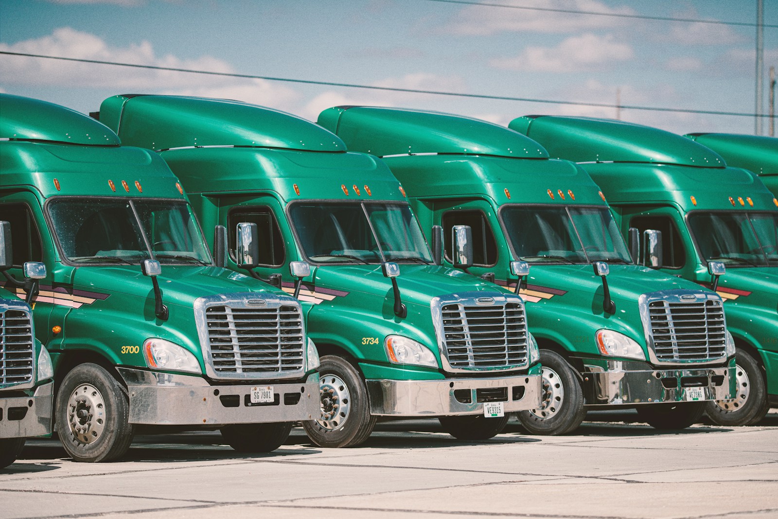 green and white vintage trucks, part of a commercial trucking fleet